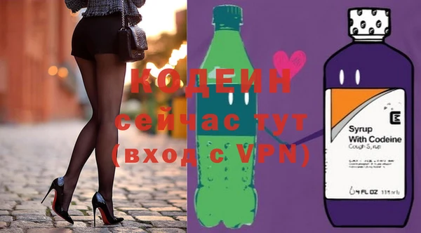 mdpv Бородино