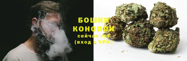 mdpv Бородино