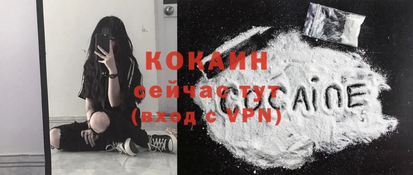 mdpv Бородино