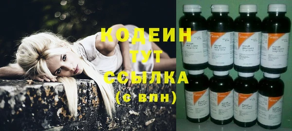 mdpv Бородино